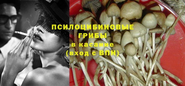 ешки Алексин